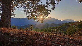Il Sottobosco
