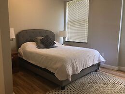 203 New Downtown Living