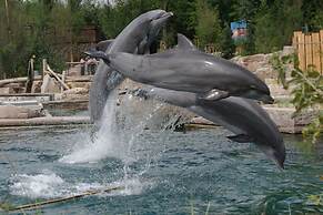 Hotel Schwarzes Kreuz