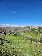 Backcountry Outfitters