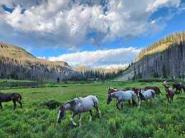 Backcountry Outfitters