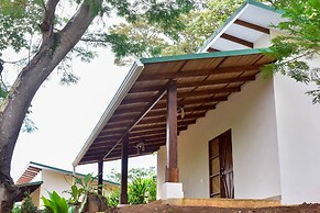 Tarcoles Birding Lodge