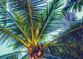 Serene Stay at Terra Verde Resort by Shine Villas 111