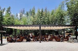 wood design park seto