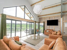 Barcud Coch - Red Kite