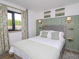 Barcud Coch - Red Kite