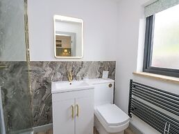 Barcud Coch - Red Kite