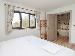 Barcud Coch - Red Kite