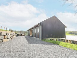 Barcud Coch - Red Kite