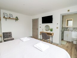 Barcud Coch - Red Kite