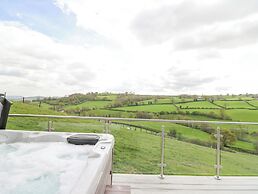 Barcud Coch - Red Kite