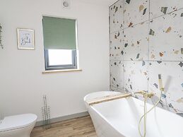 Barcud Coch - Red Kite