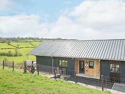 Barcud Coch - Red Kite