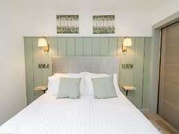 Barcud Coch - Red Kite