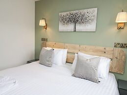 Barcud Coch - Red Kite