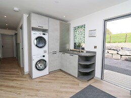 Barcud Coch - Red Kite