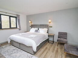 Barcud Coch - Red Kite