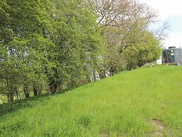 Barcud Coch - Red Kite