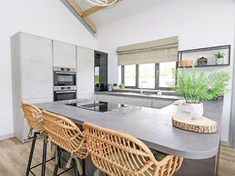 Barcud Coch - Red Kite