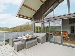 Barcud Coch - Red Kite