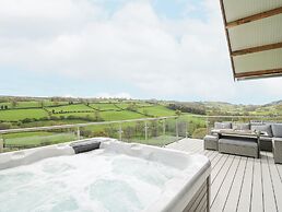 Barcud Coch - Red Kite