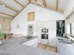 Barcud Coch - Red Kite