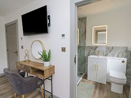 Barcud Coch - Red Kite