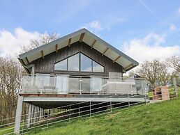 Barcud Coch - Red Kite
