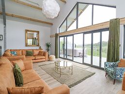 Barcud Coch - Red Kite