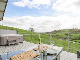 Barcud Coch - Red Kite