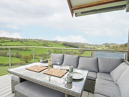 Barcud Coch - Red Kite