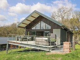 Barcud Coch - Red Kite