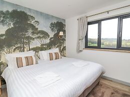 Barcud Coch - Red Kite