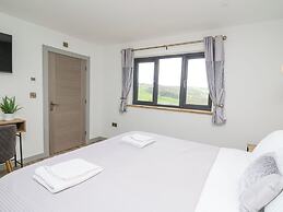 Barcud Coch - Red Kite