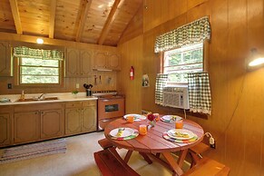 Panther Pond Cabin w/ 200 Ft Sand Beach & Dock!