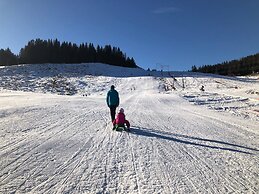 Comfort Apartment Goisernperle - Near Hallstatt