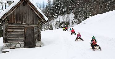 Comfort Apartment Goisernperle - Near Hallstatt