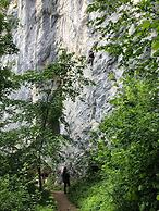 Comfort Apartment Goisernperle - Near Hallstatt