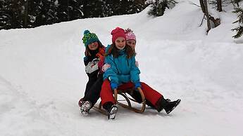 Comfort Apartment Goisernperle - Near Hallstatt