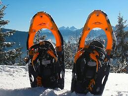 Comfort Apartment Goisernperle - Near Hallstatt