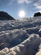 Comfort Apartment Goisernperle - Near Hallstatt