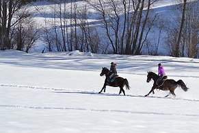 Comfort Apartment Goisernperle - Near Hallstatt