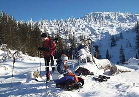 Comfort Apartment Goisernperle - Near Hallstatt