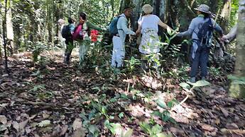 Amazon Nativo Lodge