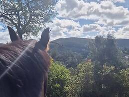 Tiny House Loulé Algarve no1