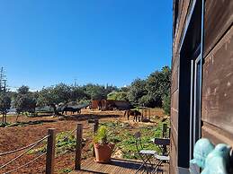 Tiny House Loulé Algarve no1