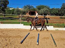 Tiny House Loulé Algarve no1