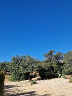 Tiny House Loulé Algarve no1