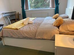 The Gold- Home Away From Home