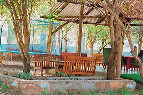 Mkomazi Hotels and Campsite